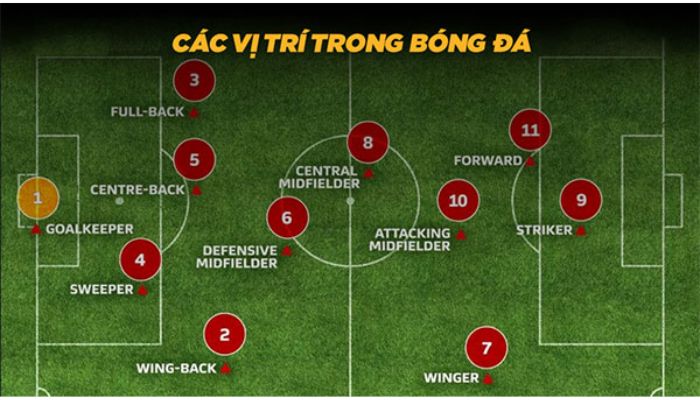 Thuật ngữ bóng đá về vị trí thi đấu
