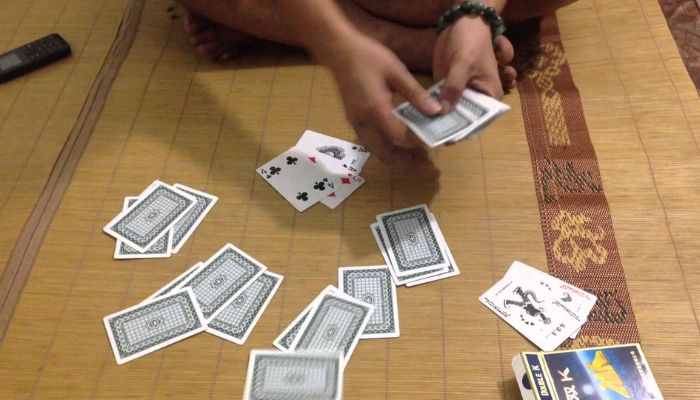 Giới thiệu về bài cào tố