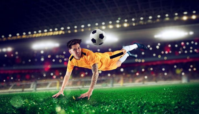 Đánh giá và dự đoán