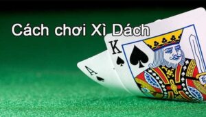 xi dach 1