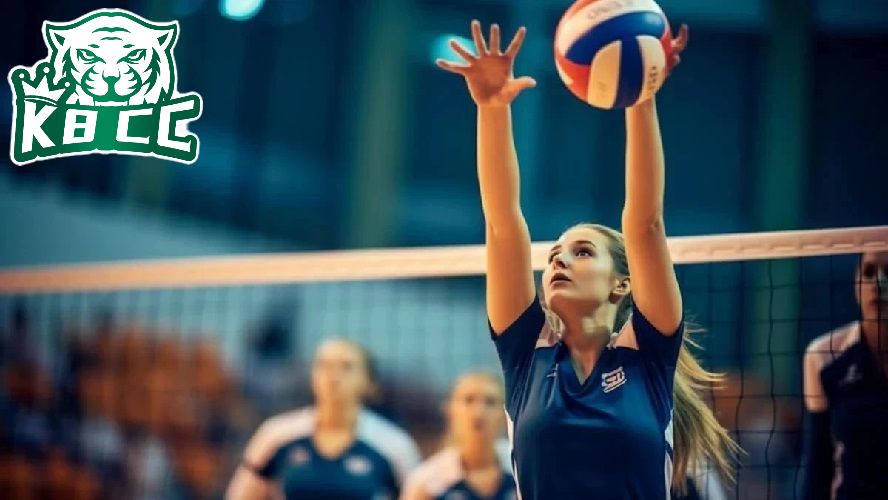 Môn thể thao cá cược bóng chuyền đáp ứng tiêu chuẩn 5*
