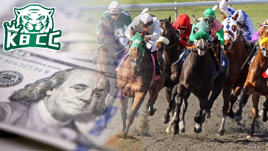 Cá cược đua ngựa là môn thể thao được người chơi yêu thích