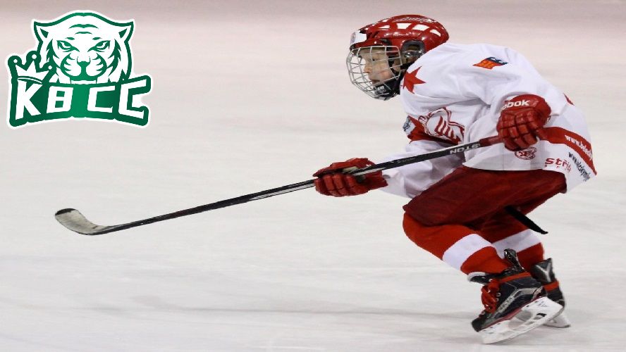 Cá cược môn thể thao khúc côn cầu