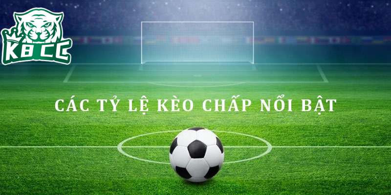 Thuật ngữ handicap chỉ tỷ lệ chấp giữa hai đội bóng chênh lệch nhau về trình độ