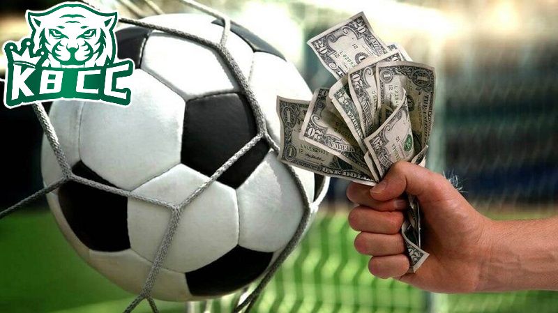 Các luật cá độ cần biết mà tân cược thủ không nên bỏ qua Chỉ chơi cá độ khi hiểu rõ luật