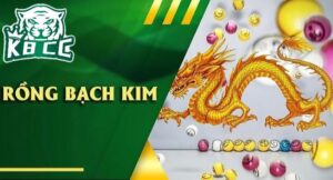 Rồng Bạch Kim là thuật ngữ phổ biến trong cộng đồng người chơi xổ số