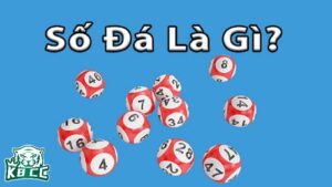 Khái niệm số đá là gì?