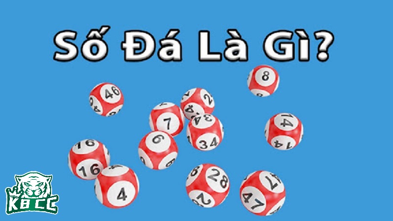 Khái niệm số đá là gì?