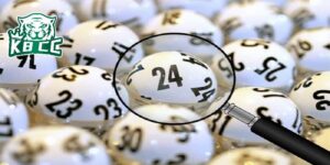 Tổng đề là gì?