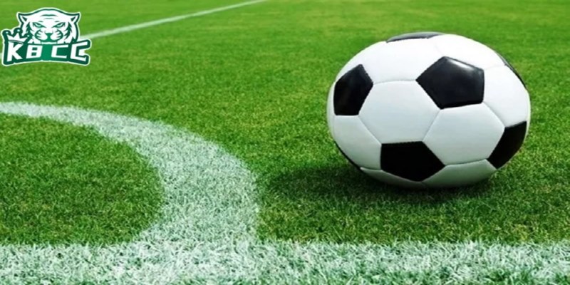 Cò bóng đóng vai trò vô cùng quan trọng trong hệ thống cá cược